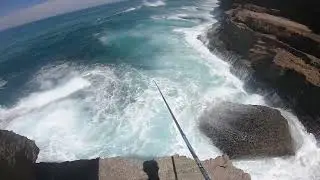 Pesca &aacute; b&oacute;ia - Sintra - Sargo