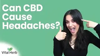 Can CBD Cause Headaches? - [Vital Herb]