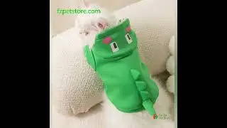 Autumn cute cat  clothes