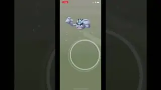 Hatching a SPECIAL 7km EVENT Egg in Pok&eacute;mon Go