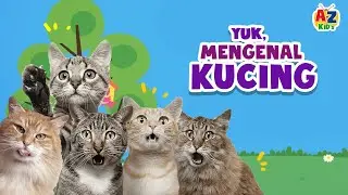 Yuk, Mengenal Kucing | Fakta Kucing | Video Edukasi Anak