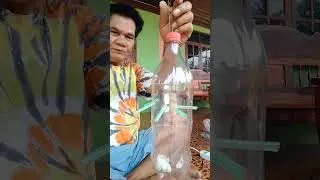 1 ตุลาคม ค.ศ. 2025