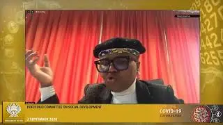Portfolio Committee on Social Development (NA) 02 Sep 2020