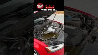 GERMAN BUDGET HELLCAT? Supercharged AUDI S4 #audi #s4 #v6 #supercharged #supercharger #audis4