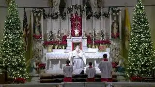 Holy Mass 2/1/25 - Feast of St. Ignatius of Antioch, First Saturday