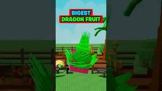 Stole Biggest Dragon Fruit in Grow a Garden Roblox 😂 #roblox #robloxshorts #growagarden