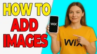 Как добавить GIF-анимацию и изображения в Wix (урок по Creative 2026)