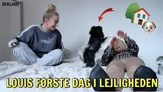 Loui ser den nye lejlighed for første gang!!! - FLYTTEVLOG DEL 3