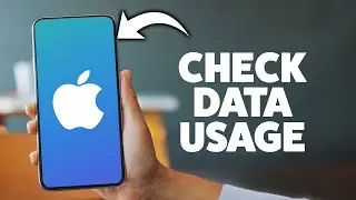 How To Check Cellular Data Usage On iPhone 2025 (Step-By-Step Tutorial)