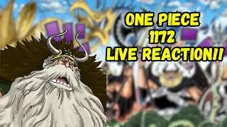 ELBAF DECLARES WAR // OP1172 LIVE REACTION!!!!!