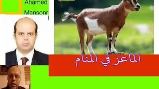 تفسير حلم الماعز في المنام لابن سيرين والنابلسي | قناة تفسير الاحلام | محمود أحمد منصور