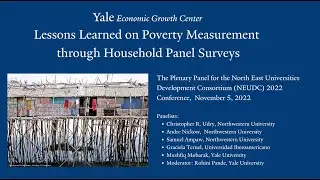 Lessons Learned on Poverty Measurement through Household Panel Surveys