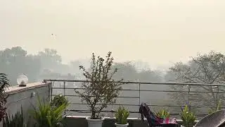 AQI 500 plus : DELHI AQI SEVERE
