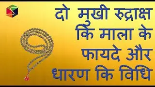 दो मुखी रुद्राक्ष माला के फायदे और धारण कि विधि और सावधानियाँ ll 2 Mukhi Rudraksha Rosery Benefits