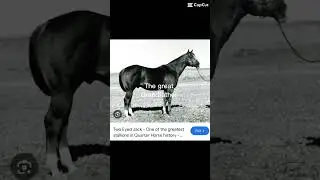 Yep, two eyes jack is my horses great grandfather