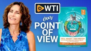 Purina ONE Adult Dry Cat Food | Our Point Of View