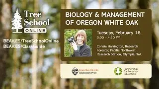 Tree School Online: Biology and Management of Oregon White Oak