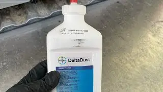 Delta dust insecticide/ pest control