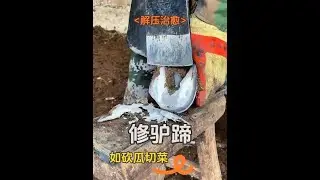The craftsman trims a donkey's hooves with skill. Watching him is relaxing