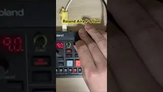 Roland Aira P-6 Jam