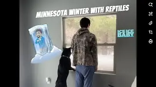 How to keep Reptiles warm in the winter 