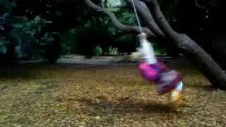 MOV01381