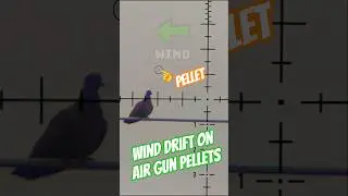 Wind drift on air gun pellets | Calculated Ballistics | #fxairguns