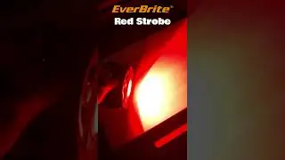 Work Light of Palm Size With the Functions Meet All You Need#EverBrite #lighting#lamp#ledlight