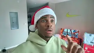 VLOG#20: DREAM BREAKDOWN, BEST GINGERBREAD HOUSE BUILD, AND WASP IN THE CRIB, IT IS WINTER, HOW?