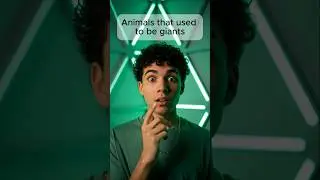 Animals that used to be giants #unique #real #animals #giant #viral #fyp #shorts #foryou
