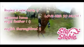 STAR STABLE -  lets buy a new horse!