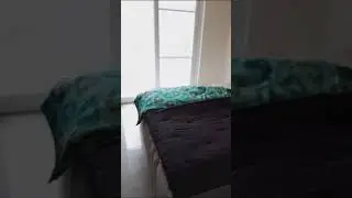 SS the Leaf  | Sector 85 Gurgaon | Dwarka Expressway  | 4 BHK | 2.0 Cr