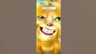 Talking Ginger Funny Videos 