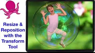 Mastering Video Transformations with Green Screen by DoInk by using the Transform Tool