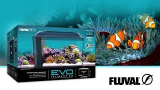 Морская жизнь по-другому | Комплект для морского аквариума Fluval Evo 13.5
