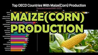 Top OECD Countries With The Maize(Corn) Production(1990&ndash;2020)