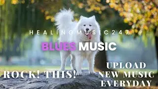 Blues Music Everyday ! for study, workout, relax, relieve stress. Mike Kirin - Rock! This!