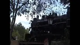 A Special Wedding Proposal Memory at Dollywood & The Dollywood Express! &ldquo;Miss Lillian&rdquo;& her Prince💞