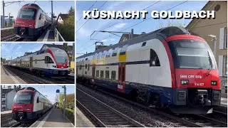Züge beim Bahnhof Küsnacht Goldbach | Trains at Küsnacht Goldbach station (2024)
