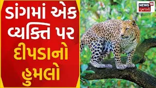 Dang News | ડાંગમાં એક વ્યકિત પર દીપડાનો હુમલો | Leopard Attack | Wild Animal | Forest Dept | News18