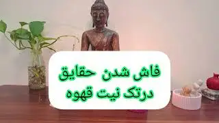 فاش شدن حقایق نیت عاشقانه ،کاری،مالی