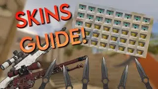 Defuse Division SKIN GUIDE! || Short guide to skins in Defuse Division