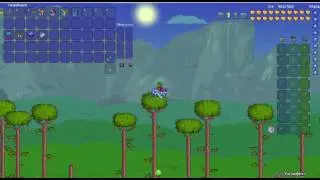 terraria top 5 monture