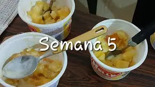 Ruralitas Tocópero - Semana 5 (del 15/12/2025 al 21/12/2025)