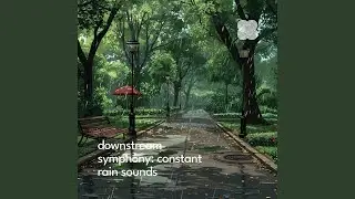 Calming Friday Rainfall