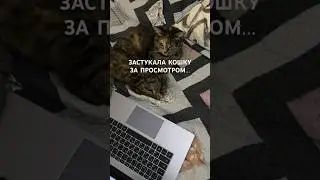 Муся выбирает себе подарки! 