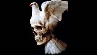 [FREE] Griselda x Daringer Type Beat 