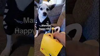 A happy meal for Manchas 🤣 #mcdonals