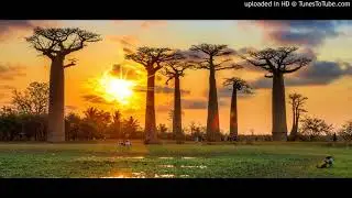 Madagascar Ma Vie