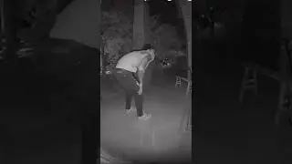 Ring Camera Catches FULL SPEED Door Fail 😂